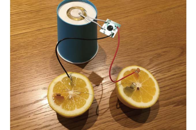 レモン電池で実験する写真。