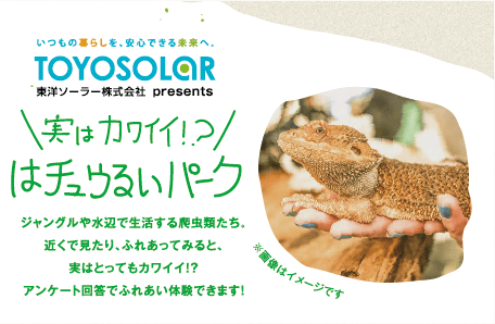 【イベント】9/6(土) こどもエコミュージアム出展！（島根県松江市）